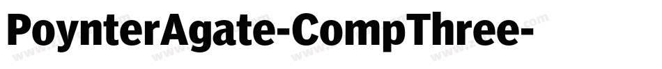 PoynterAgate-CompThree字体转换