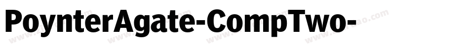 PoynterAgate-CompTwo字体转换