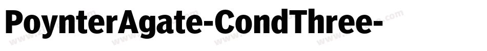 PoynterAgate-CondThree字体转换