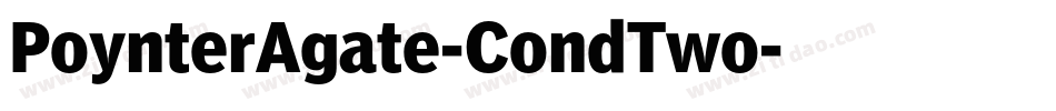 PoynterAgate-CondTwo字体转换