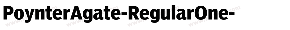 PoynterAgate-RegularOne字体转换