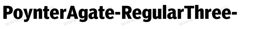 PoynterAgate-RegularThree字体转换