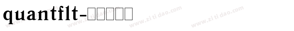 quantflt字体转换