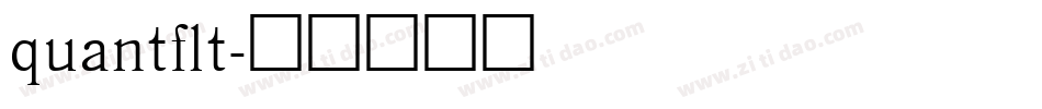 quantflt字体转换