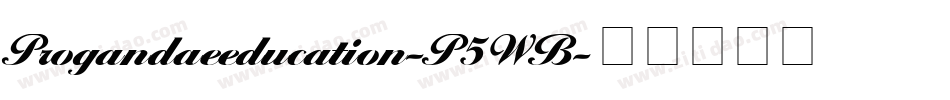 Progandaeeducation-P5WB字体转换