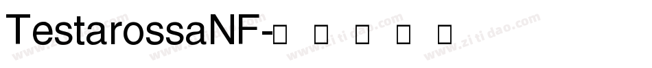 TestarossaNF字体转换
