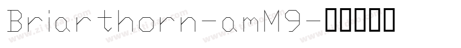 Briarthorn-amM9字体转换