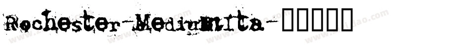 Rochester-MediumIta字体转换