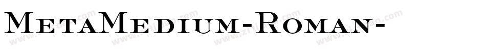 MetaMedium-Roman字体转换