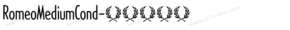 RomeoMediumCond字体转换