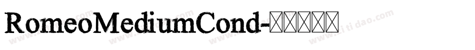 RomeoMediumCond字体转换