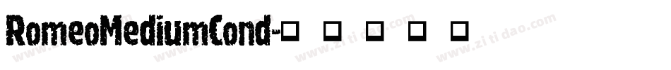 RomeoMediumCond字体转换