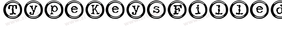 TypeKeysFilled-WJKG字体转换