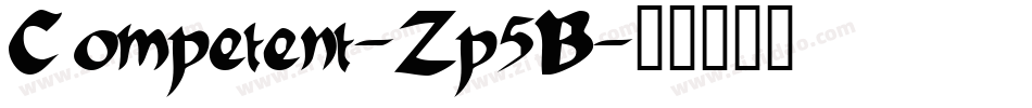 Competent-Zp5B字体转换