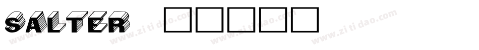 Salter字体转换
