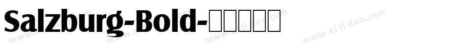 Salzburg-Bold字体转换