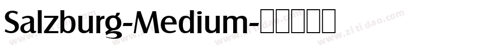 Salzburg-Medium字体转换
