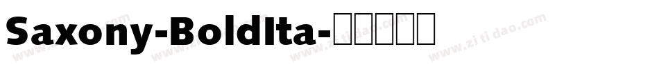 Saxony-BoldIta字体转换