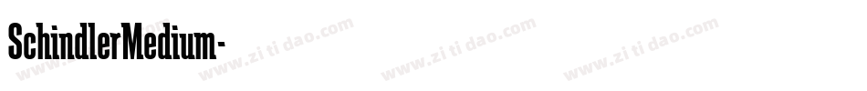 SchindlerMedium字体转换