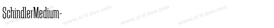 SchindlerMedium字体转换