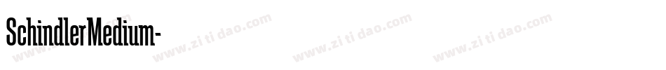SchindlerMedium字体转换