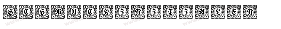 SchmuckInitialen2字体转换