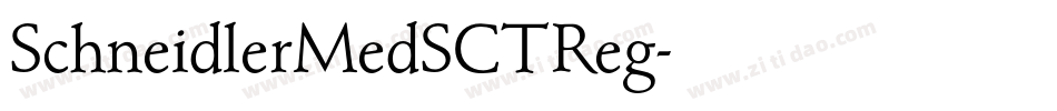 SchneidlerMedSCTReg字体转换