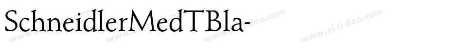 SchneidlerMedTBla字体转换