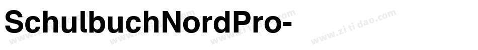 SchulbuchNordPro字体转换