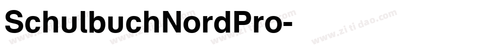 SchulbuchNordPro字体转换