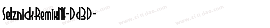 SelznickRemixNf-Dd3D字体转换