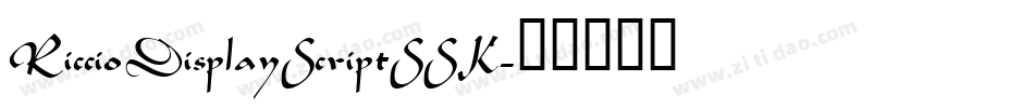 RiccioDisplayScriptSSK字体转换