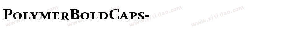 PolymerBoldCaps字体转换