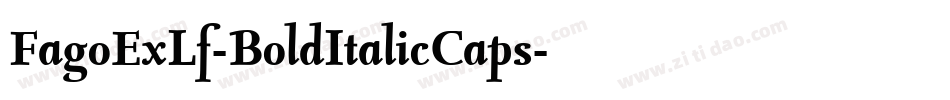 FagoExLf-BoldItalicCaps字体转换