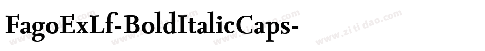 FagoExLf-BoldItalicCaps字体转换