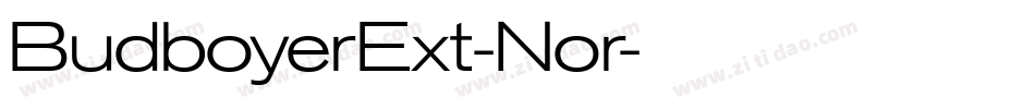 BudboyerExt-Nor字体转换