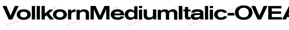 VollkornMediumItalic-OVEAd字体转换