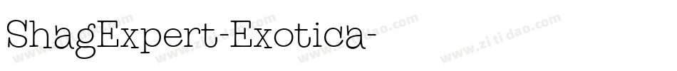 ShagExpert-Exotica字体转换