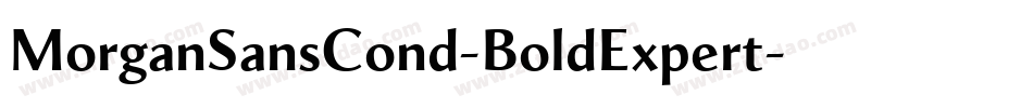 MorganSansCond-BoldExpert字体转换