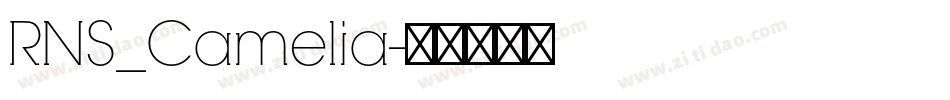 RNS_Camelia字体转换