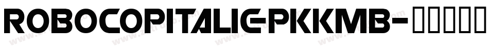 RobocopItalic-PKKmB字体转换