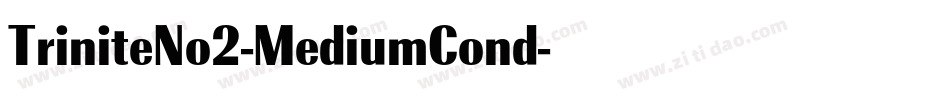 TriniteNo2-MediumCond字体转换
