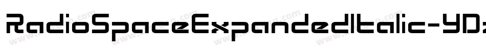 RadioSpaceExpandedItalic-YDza字体转换
