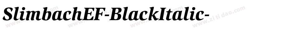 SlimbachEF-BlackItalic字体转换