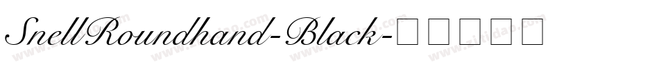 SnellRoundhand-Black字体转换