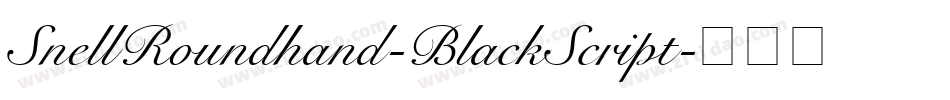 SnellRoundhand-BlackScript字体转换