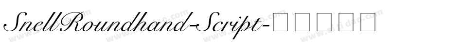SnellRoundhand-Script字体转换