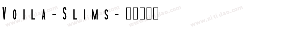 Voila-Slims字体转换