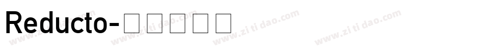 Reducto字体转换
