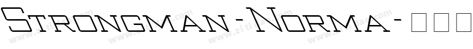 Strongman-Norma字体转换